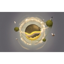 這個(gè)小學(xué)，有點(diǎn)開掛了！