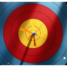 熱潮再起，中標(biāo)不止！