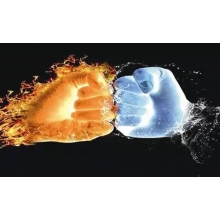 【半年報(bào)來(lái)了】 與 “粵” 齊飛，大有可為！